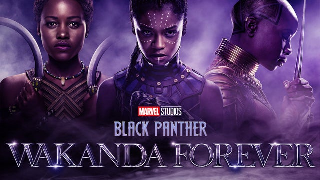 Black Panther 2022 Full Movie HD Download 480p